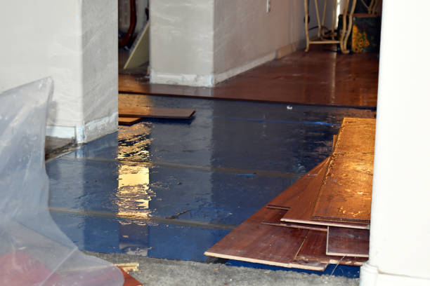 Professional Water Extraction technician working in Tow, TX